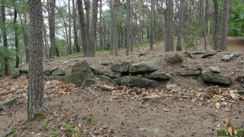 Ritterstein Nr. 257-4b Heidenburg 9. - 10. Jahrhundert.JPG - Ritterstein Nr.257 Heidenburg